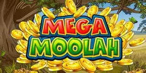 Mega Moolah avis