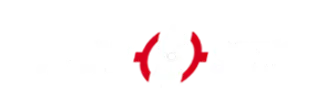 Agent Spins Casino