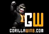 Gorilla Wins Casino