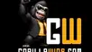 Gorilla Wins Casino &#8211; Bonus de bienvenue