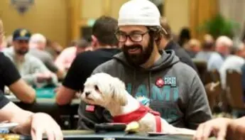 Les joueurs de poker et leurs meilleurs amis