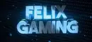 Felix Gaming