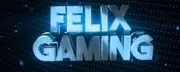 Felix Gaming