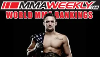 Arts Martiaux Mixtes : bientôt en France ?