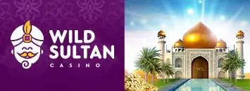 Wild Sultan &#8211; Bet race ou la course aux bonus