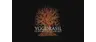 Yggdrasil Gaming