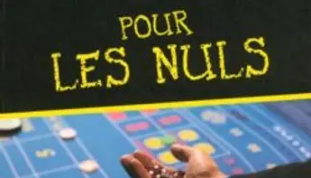 Casino en ligne : la bibliothèque du joueur