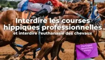 La course hippique oui, mais seulement en VR!