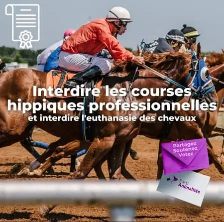 La course hippique oui, mais seulement en VR!