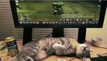 L’addiction au jeu existe-t-elle vraiment ?