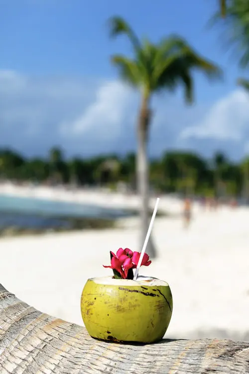 Cocktail coconut aux casinos Antigua et Barbuda