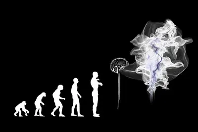 evolution du cerveau et les jeux en ligne