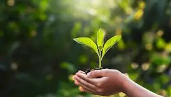 Casinos en ligne écologiques : vers des plateformes plus durables ?