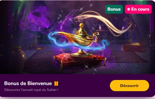 Bonus de bienvenue Wild Sultan