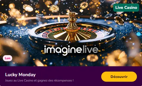 Le bonus du lundi du casino Wild Sultan