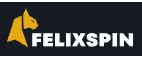 Felixspin