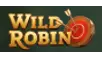 Bonus de bienvenue 500€ + 200 Free Spins WildRobin Casino
