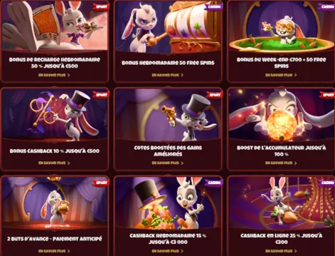 Les offres spéciales du casino Magius
