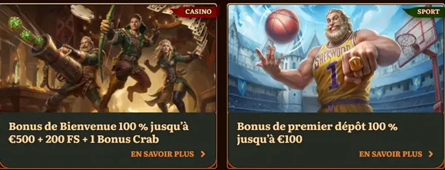 Bonus de bienvenue du casino Wild Robin