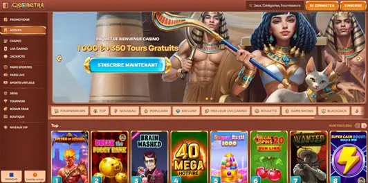 L'interface de Cleobetra
